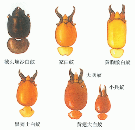 图片1(1).png 图片1(1).png
